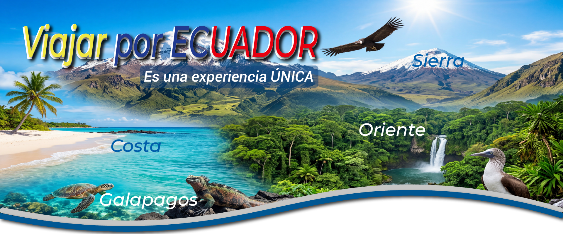 VIAJAR POR ECUADOR para revisarnuevo con curvas